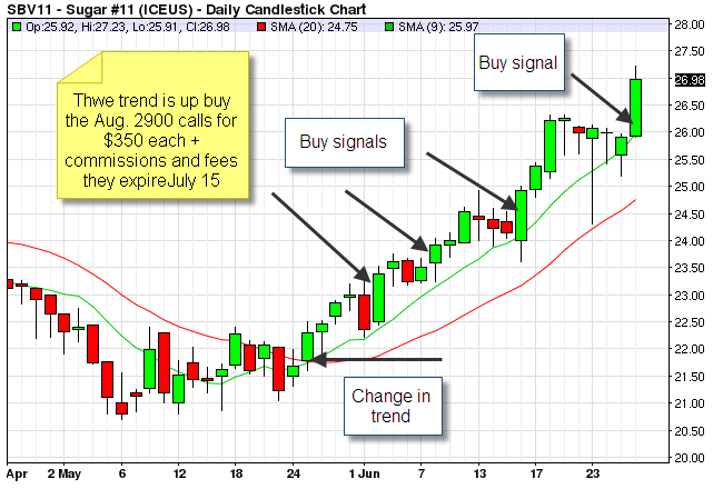 Options trading plan template